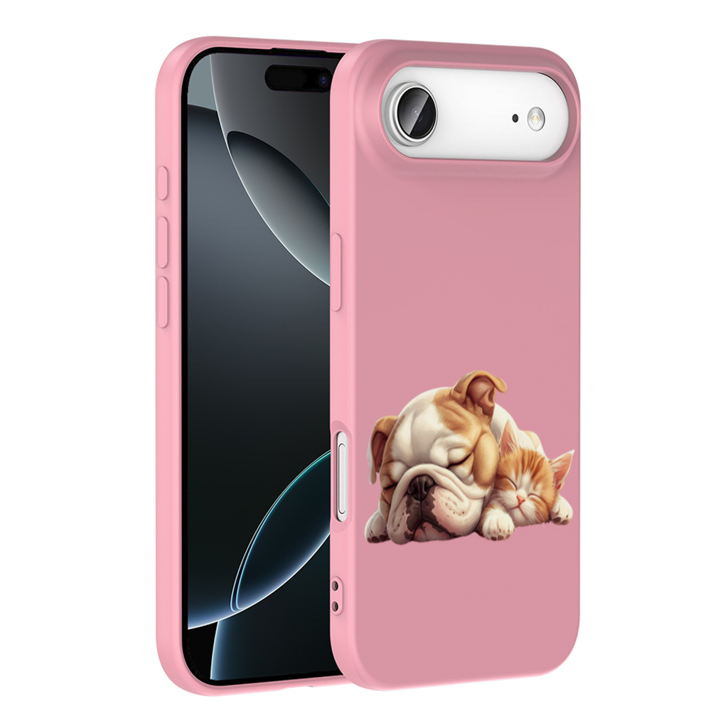 Sleeping Bulldog and Ginger Kitten İphone 17 Air Case