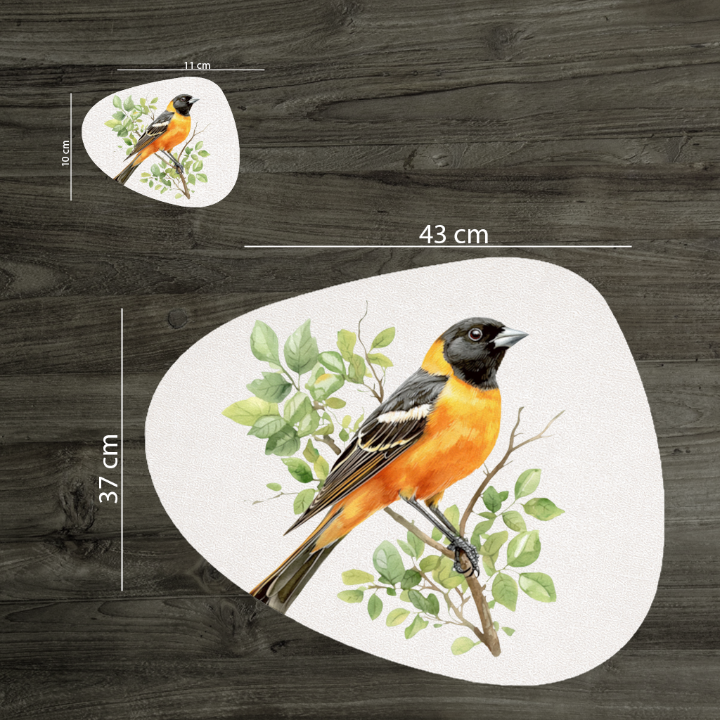 Baltimore Oriole on Branch Charger Plate Set 12 Pieces