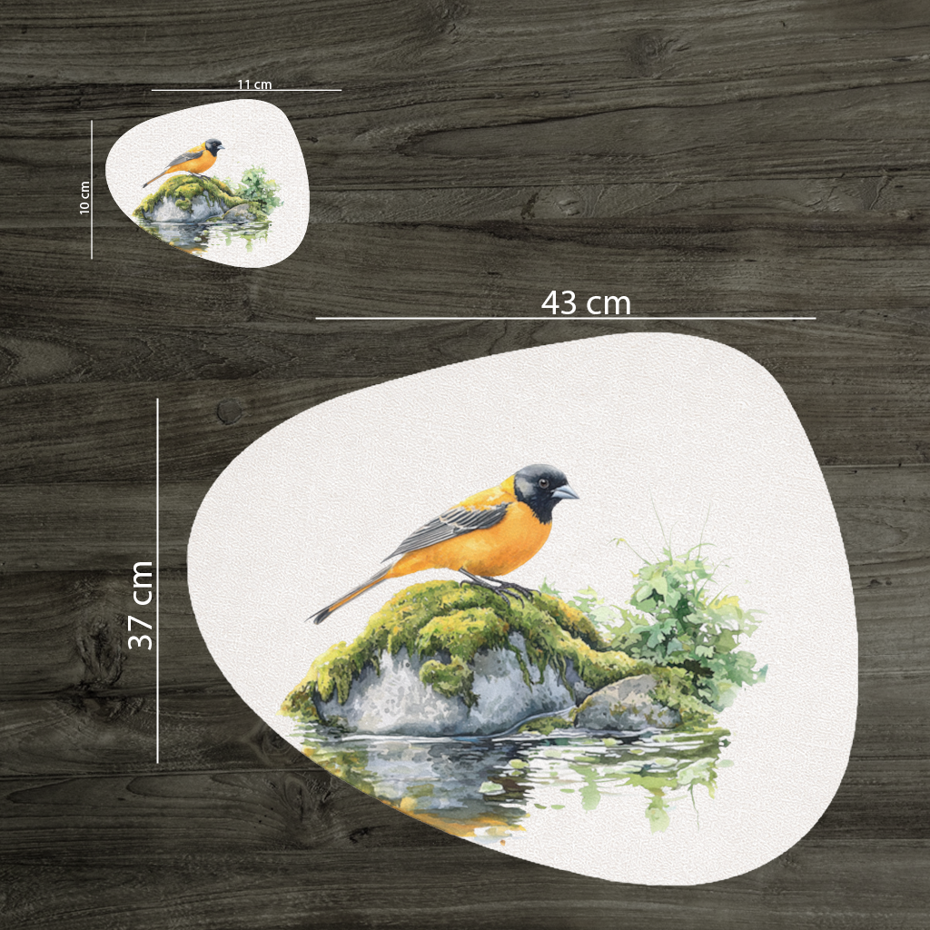 Orange Baltimore Oriole Bird Charger Plate Set 12 Pieces