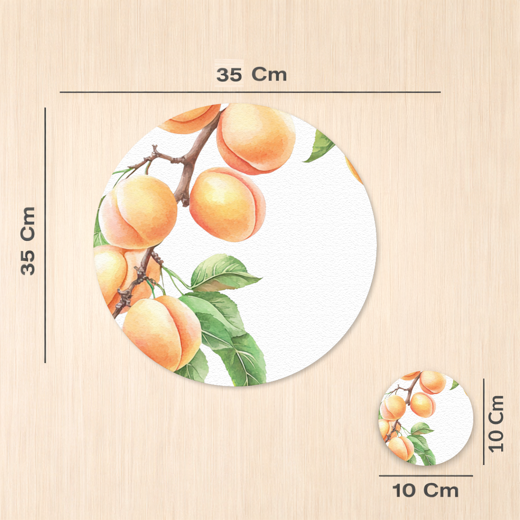 Ripe Orange Apricot Fruit Branch Charger Plate Set 12 Pieces